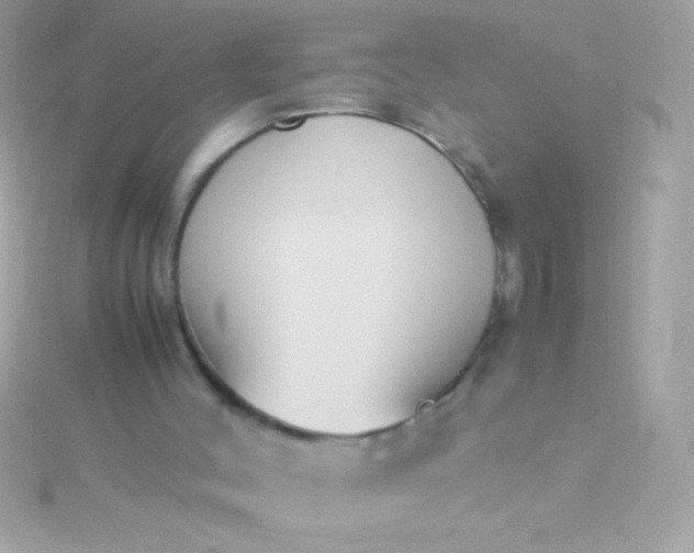 X0000115740004200911252009