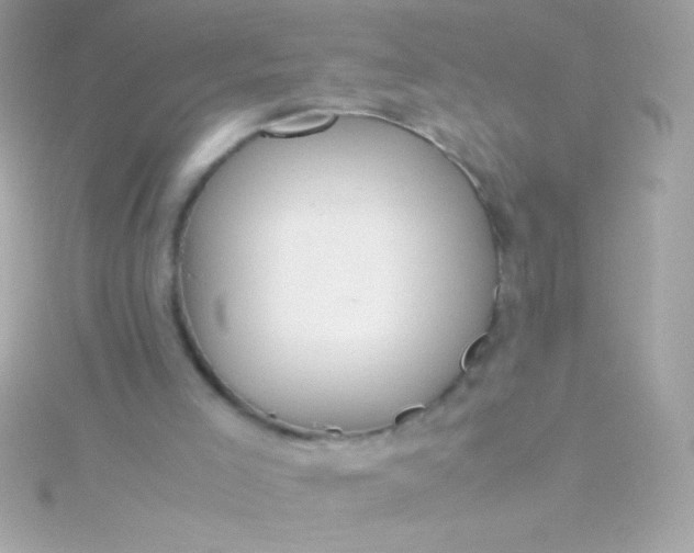 X0000115740005200911252009