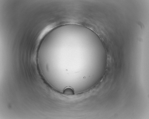 X0000115740006200911252009