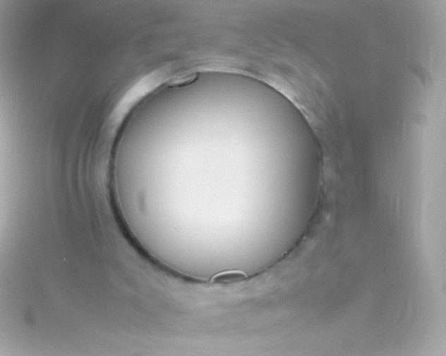 X0000115740007200911252009