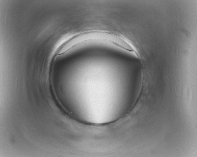 X0000115740008200911252009