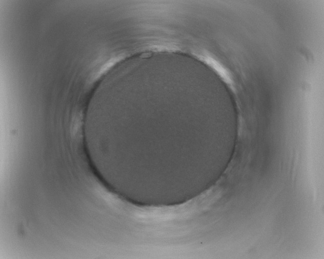 X0000115740009200911252009