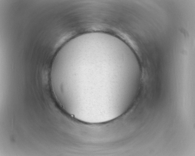 X0000115740010200911252009