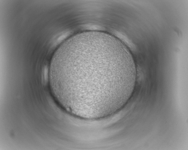 X0000115740014200911252009