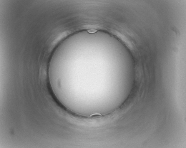 X0000115740015200911252009