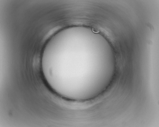 X0000115740016200911252009