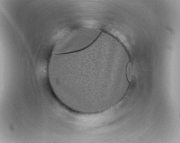 X0000115740017200911252009