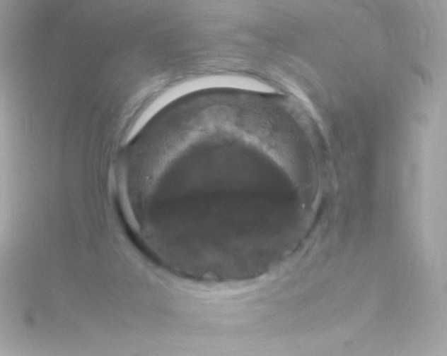 X0000115740019200911252009