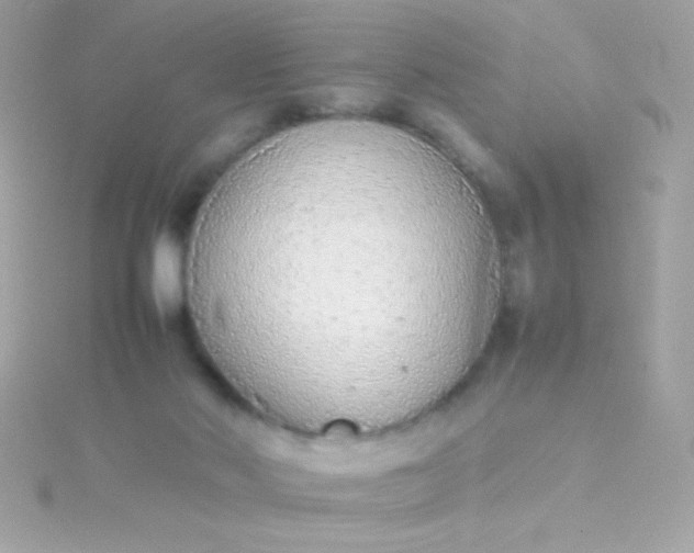 X0000115740022200911252009