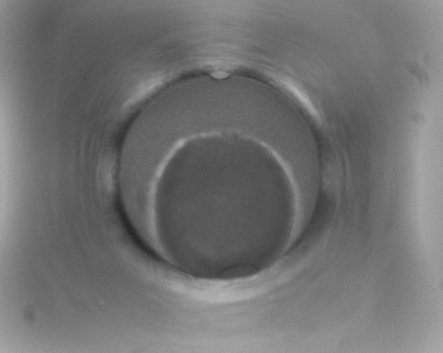 X0000115740023200911252009