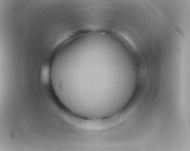 X0000115740024200911252009