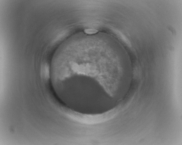 X0000115740027200911252009