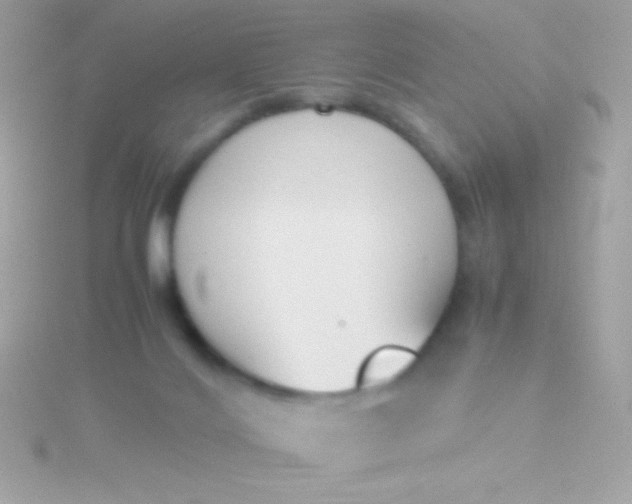 X0000115740028200911252009