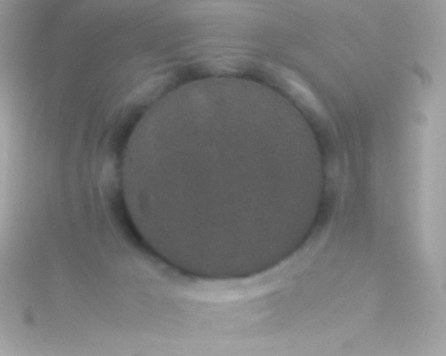 X0000115740029200911252009