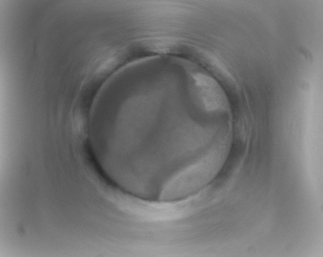 X0000115740031200911252009