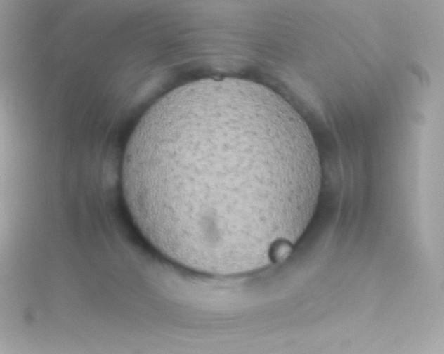 X0000115740032200911252009