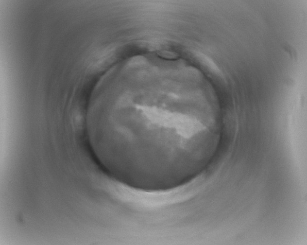 X0000115740039200911252009