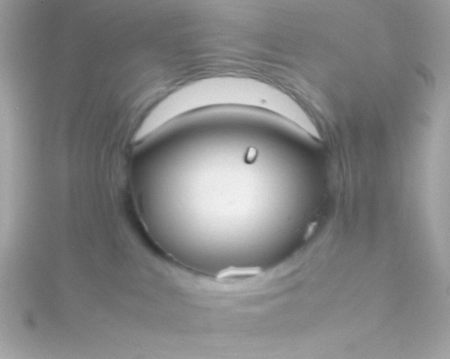 X0000115740043200911252009