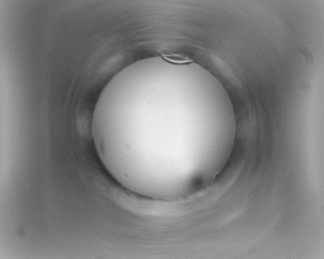 X0000115740044200911252009