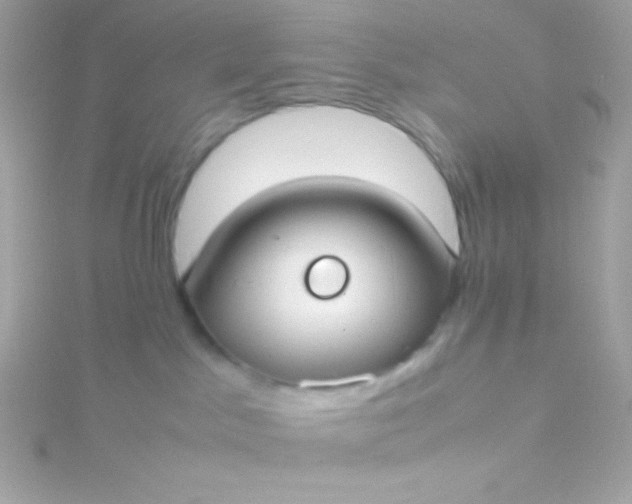 X0000115740045200911252009