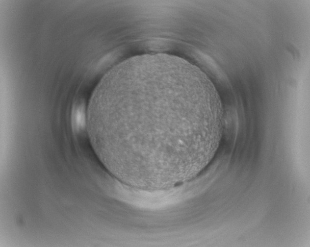 X0000115740046200911252009