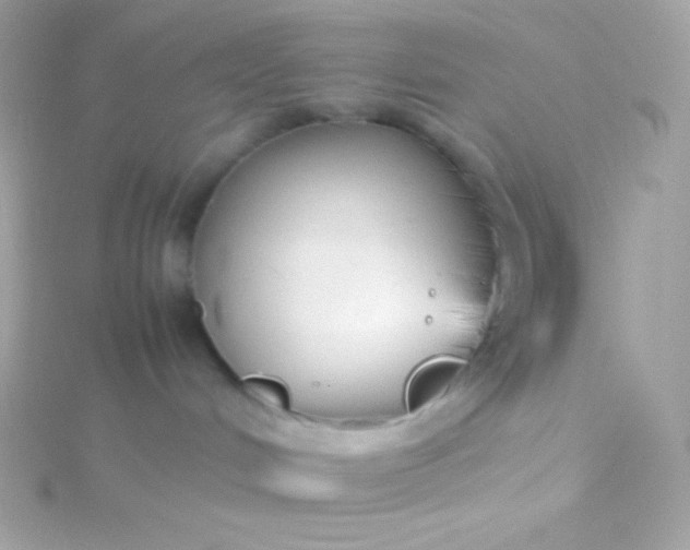 X0000115740048200911252009