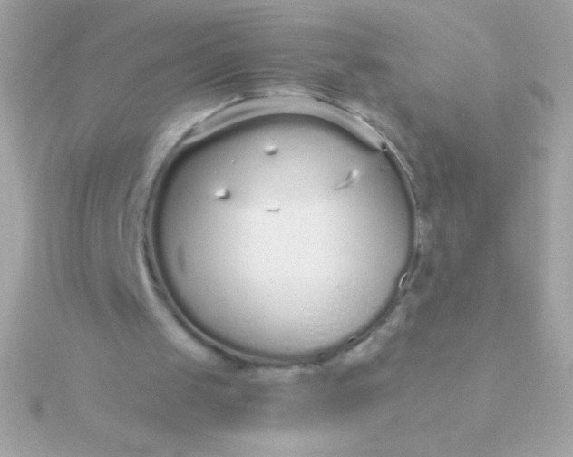 X0000115740049200911252008