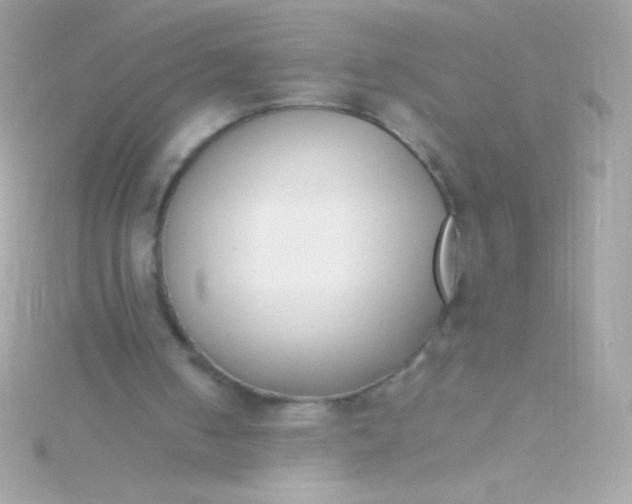 X0000115740050200911252008