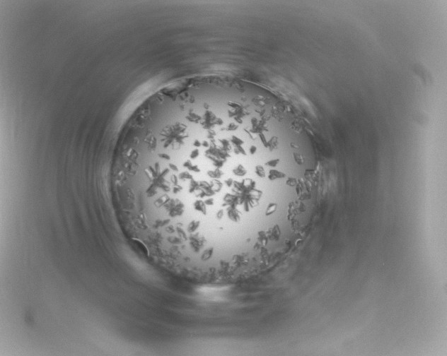 X0000115740051200911252008