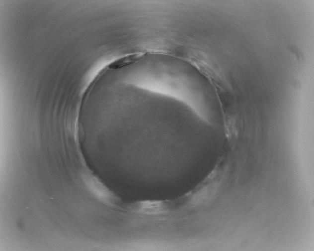 X0000115740052200911252008