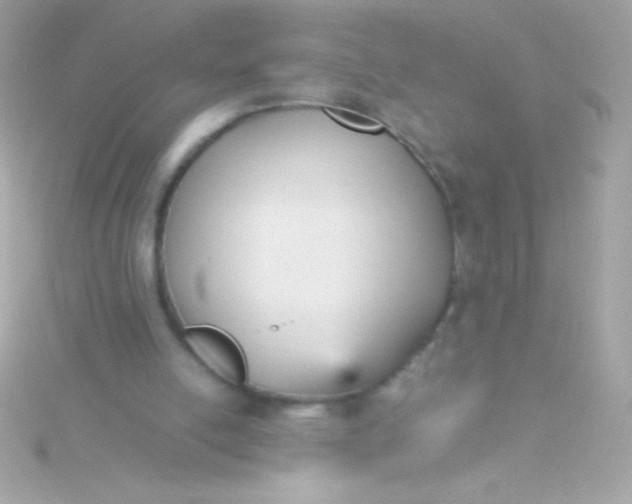 X0000115740054200911252008