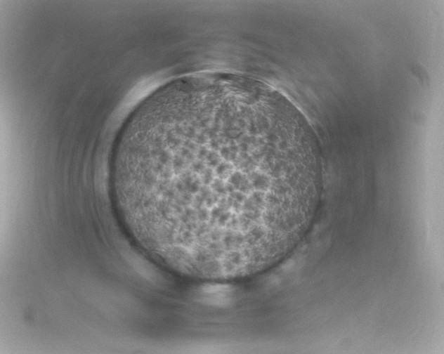 X0000115740055200911252008