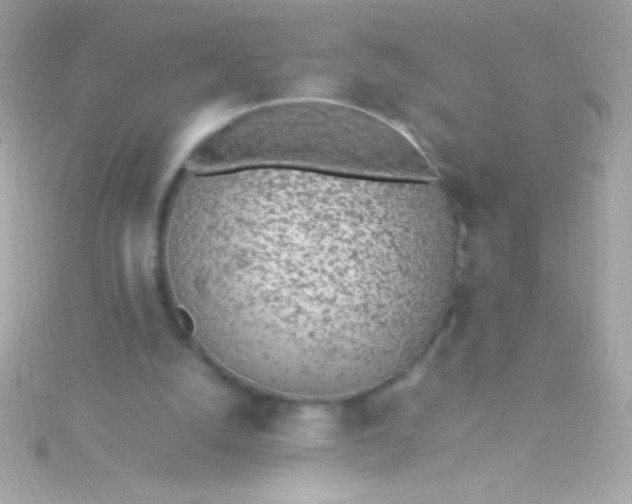 X0000115740056200911252008