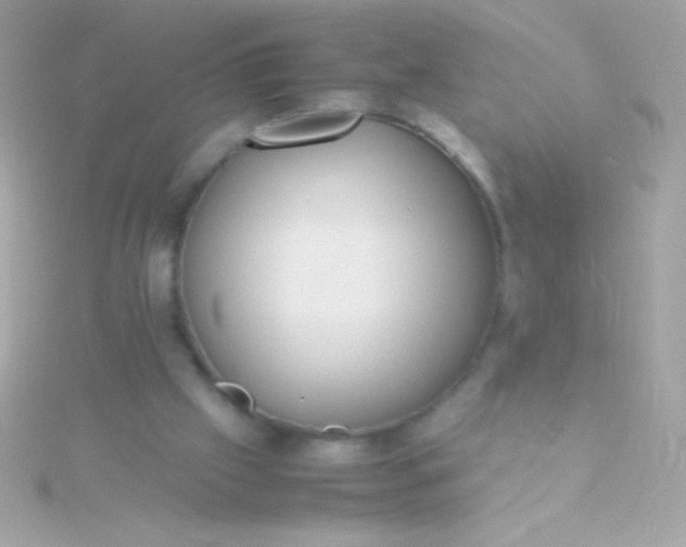 X0000115740057200911252008