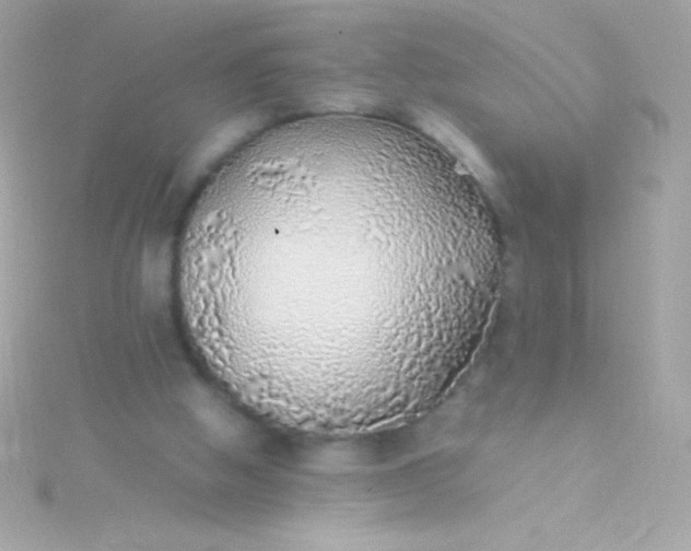 X0000115740058200911252008