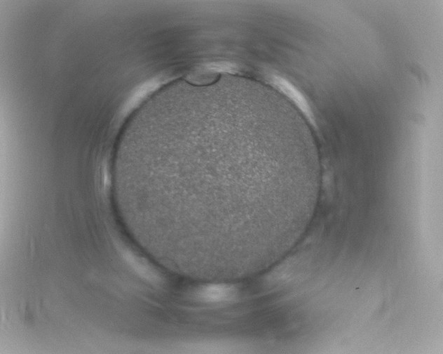 X0000115740059200911252008