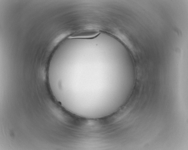 X0000115740060200911252008