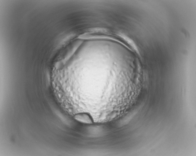 X0000115740061200911252008