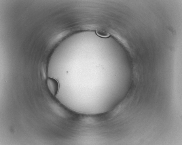 X0000115740062200911252008