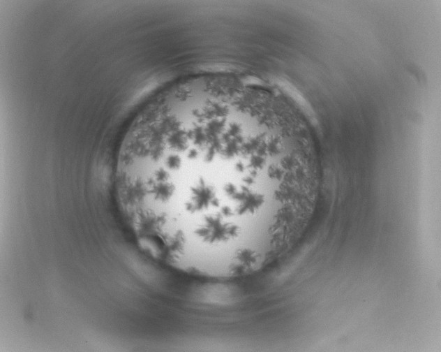 X0000115740063200911252008