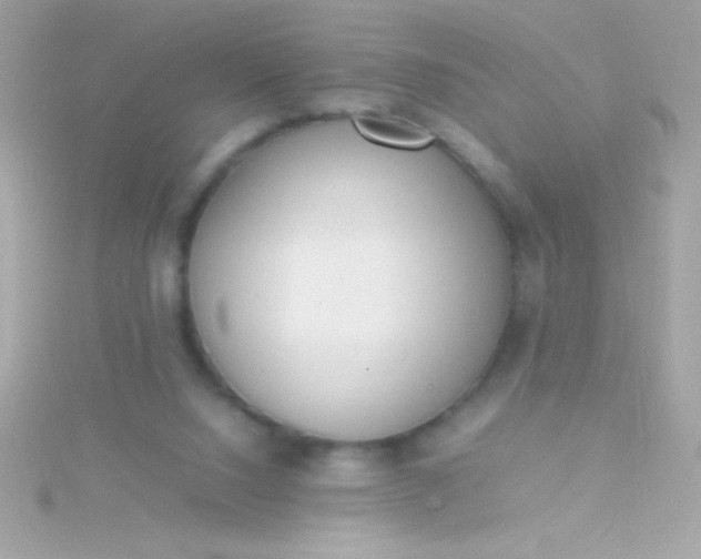 X0000115740064200911252008