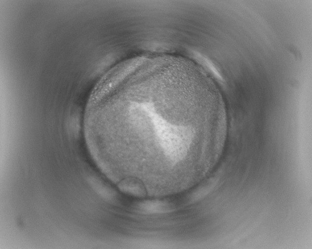 X0000115740065200911252008