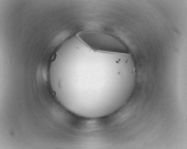 X0000115740068200911252008