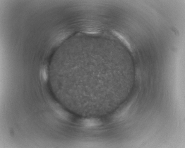 X0000115740069200911252008