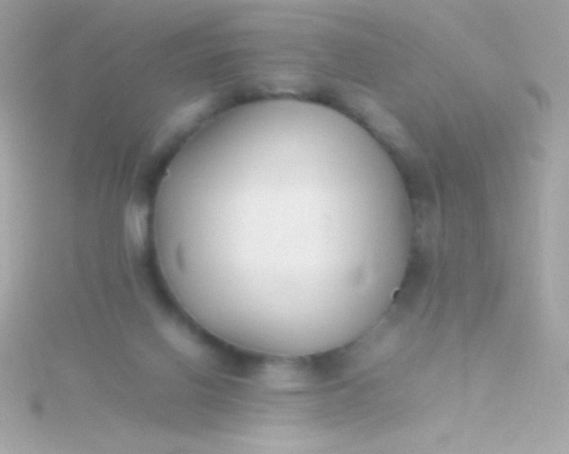 X0000115740070200911252008