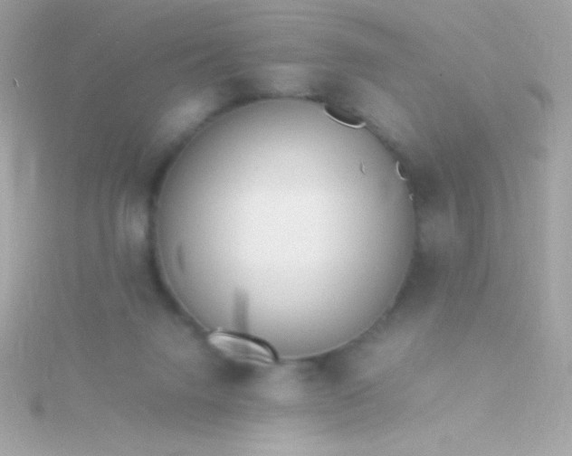 X0000115740072200911252008