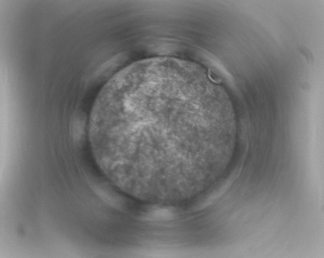 X0000115740073200911252008