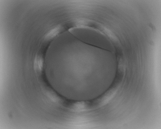 X0000115740076200911252009