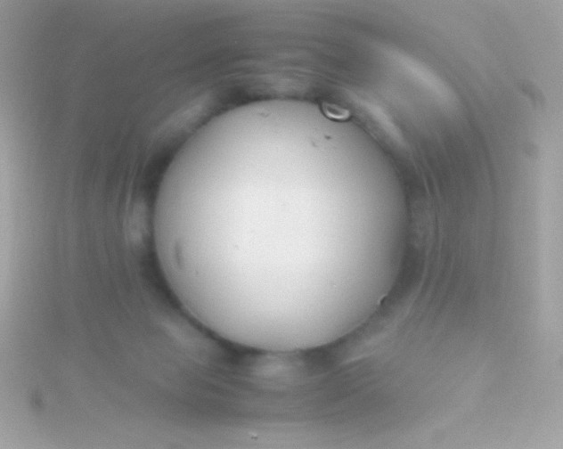 X0000115740077200911252009