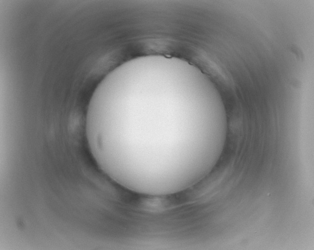 X0000115740079200911252009